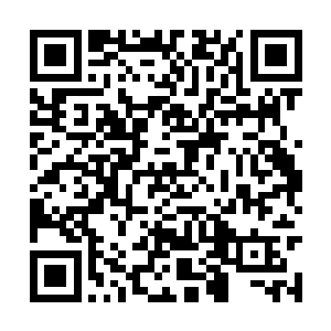 对于全世界其他的能力者机构基本上都是看不上眼二维码生成