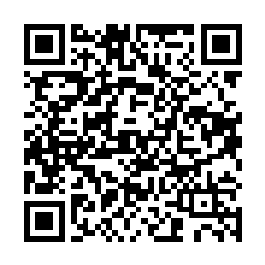 对于其他岛上的非灵兽生物来说就是一场毁灭性的打击二维码生成