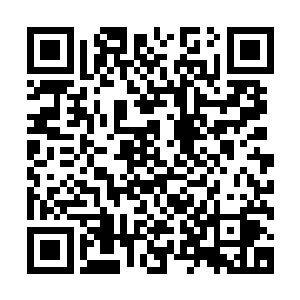 对于凡人来说很难解决的疾病在修真者的眼里却是算不了什么二维码生成