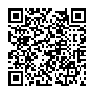 对于十三圣骑或许只要加隆出手很快就会败下阵来二维码生成