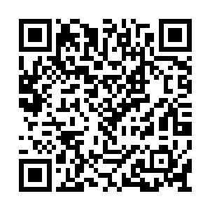 对于千里迢迢赶来加油助威的父母和亲友团来说二维码生成