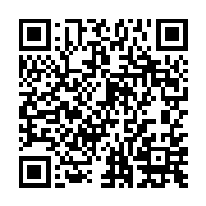 对于后面还没有轮到的朋友我只能表示十二分的歉意二维码生成