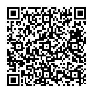 对于命令的执行那可是在相当高的层次上而且特别适合当看护犬而且对儿童相当友好二维码生成