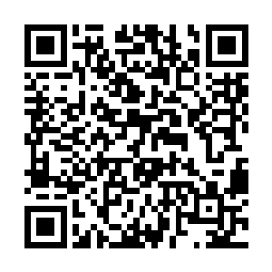 对于喜爱漂亮事物的莎莎来说绝对是个最合适的礼物二维码生成