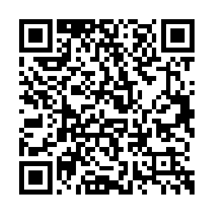 对于圣庭来说到时候绝对是一件不可原谅的事情二维码生成