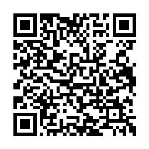 对于夏天这个小处男来说这绝对是一个春梦无疑二维码生成