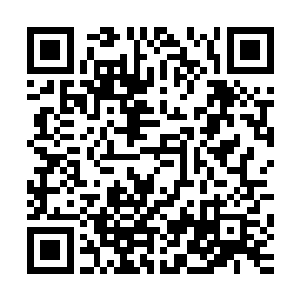 对于大乘期修士留下来的财富看重程度并没有想象的那那么高二维码生成