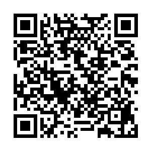 对于大部分时间都待在宾馆塞土豆泥的夜辜星来说二维码生成