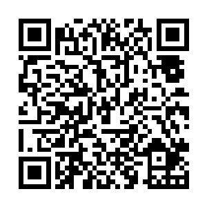 对于大长老和二长老的表现杨戬自然也没有什么意外二维码生成