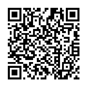 对于天丹宗的天元丹他们心中显然也是有着巨大的信心二维码生成