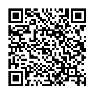 对于她这样一个普通工薪阶层而言实在是个非常巨大的数字二维码生成