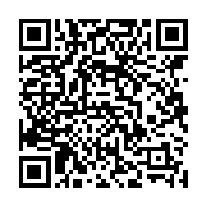 对于对于在地球华夏国土上生活了数年之久的王演而言二维码生成