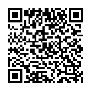 对于小熊他们兄弟的管教还是交给凤君曜比较好二维码生成