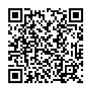 对于岛屿上的具体情况雷林也有了更深层次的认识二维码生成
