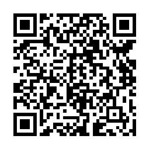 对于峡谷入口的雾气附带的负面buff有着明显的抗性二维码生成
