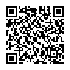 对于张长老和张萧晗制符师的身份他根本没有看在眼里二维码生成