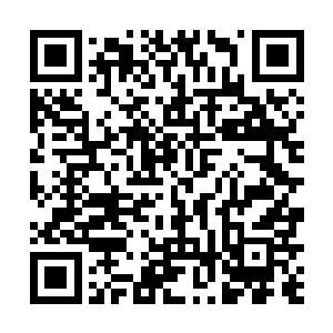 对于归顺和依附身具上古血族威压的千夜毫无心理压力二维码生成