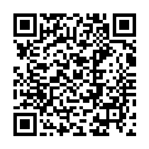 对于打算深入了解千门这样一个庞大隐世门派的秦方来说二维码生成
