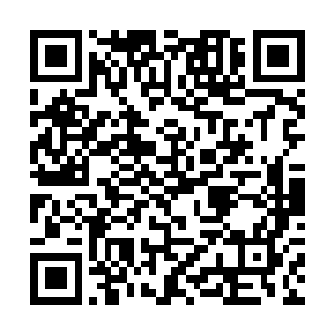 对于摧毁一个人的思维能力几乎是有难以避免的伤害二维码生成