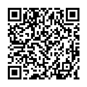 对于擂台上的比斗龙傲天自然是没有丝毫的兴趣二维码生成