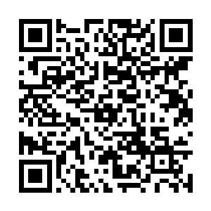 对于敢打自己主意的人龙傲天自然是不会手下留情二维码生成