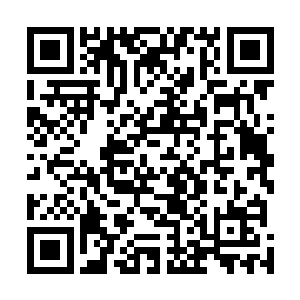 对于无名老者的任何话都可以用一个充满鄙夷的白眼代替二维码生成