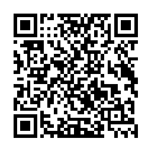 对于日本渔夫的行为老外中的环保主义者也恨的牙痒痒呢二维码生成