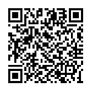对于普通的爱好者来说他们根本就没有什么奢望二维码生成