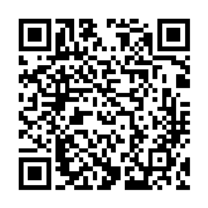 对于木系圣灵之王的青龙他自然也有着一种本能的畏惧二维码生成