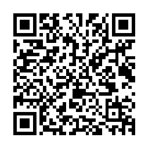 对于本土学校里的莫女神和林女神两位校花他们可是熟悉无比的二维码生成