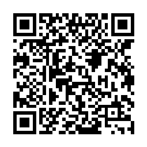 对于杨戬十分的了解的鬼谷子顿时有些好奇的开口道二维码生成