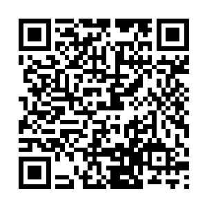 对于楚旬等人资料有着很深了解的虫皇也是脸色一变二维码生成