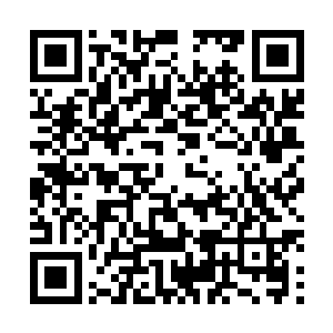 对于正常人……或者正常猴来说这种情况不可能维持多久二维码生成