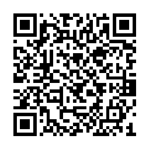 对于洛水嫣还有苏媛媛的消息根本没有一点线索二维码生成