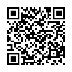 对于游客们和绝大多数的参赛者们来说二维码生成