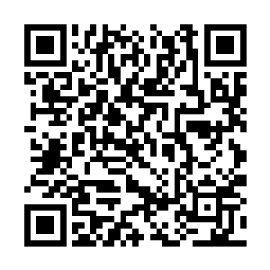 对于灵宝的理解龙傲天可是比孙雅儿要深刻的多了二维码生成