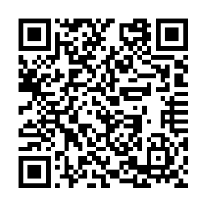 对于王大成到底会不会来送赔偿她们精神损失的钱二维码生成