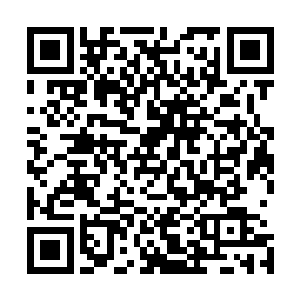 对于现在焦急的想要把黑客帝国全部制作完成的张东城来说二维码生成