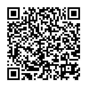 对于眼前的小孩子龙傲天不知道怎么了心底产生了一点亲近的感觉二维码生成
