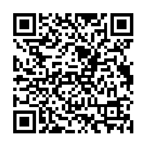 对于眼前的小龙云思凡面对着也是一种欲哭无泪的感觉二维码生成