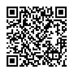 对于秦宝华这方面的悟性陆为民不得不称赞一声二维码生成