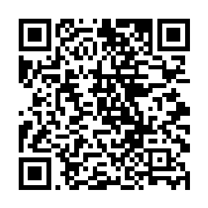 对于穆依烟的本事洛水嫣还有苏媛媛都是十分的认可二维码生成