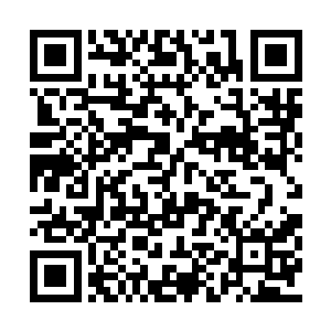 对于能够在一息时间内通过天梯考核的吴岩来说二维码生成