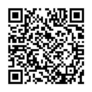 对于自己的两位师兄为什么突然停下坐在城墙上二维码生成