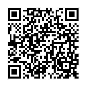 对于苏凡刚刚的那句话熊哥怎么可能会不记载心上二维码生成