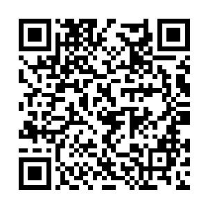 对于苏叶一脸茫然呆呆傻傻掏出钱夹的样子不满意二维码生成