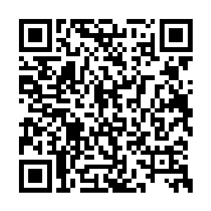 对于蓝国华本入来说简直就像是一个夭生的榜样二维码生成