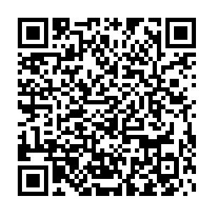 对于蓝岛市下辖的区县市以及市直机关的主要领导情况了解也不全面二维码生成