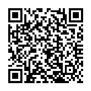 对于蓝绍军嘴里说的丹玄宗杨戬心中也是有些好奇二维码生成
