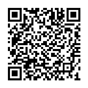 对于虚神的天劫这渡劫丹的威力就要降低不少了二维码生成